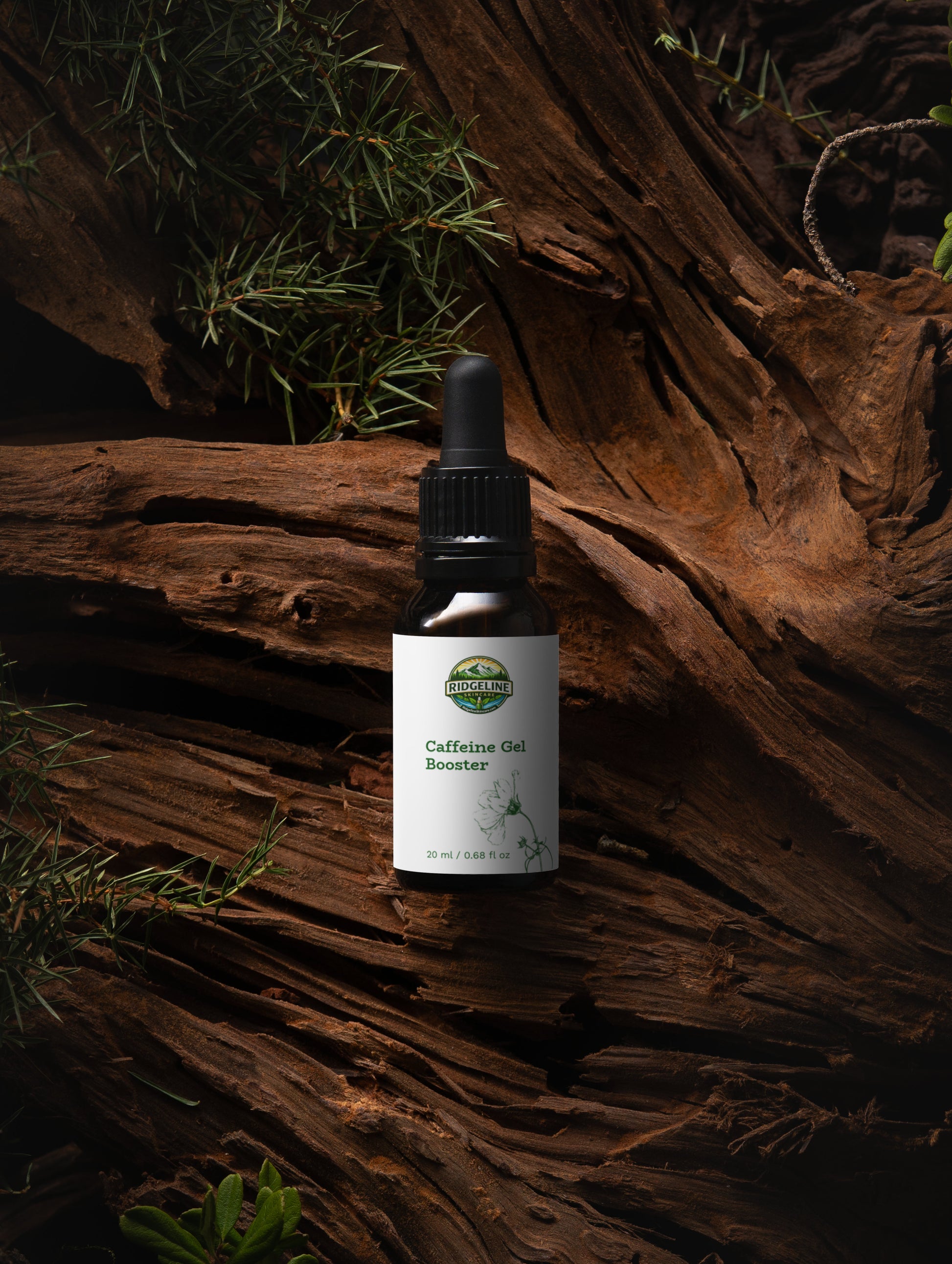 Caffeine Gel Booster