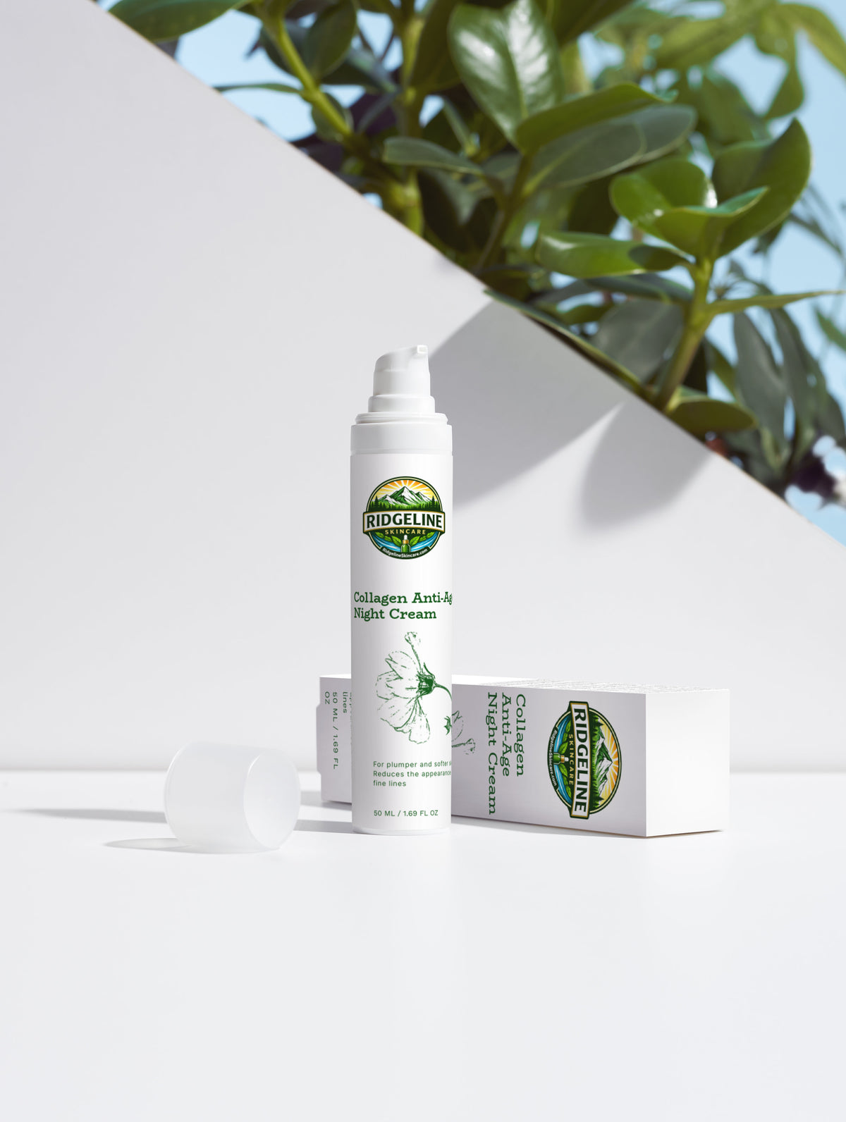 Collagen Anti-Age Night Cream